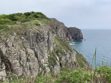 Rusya, Vladivostok. Yaz aylarında Shkot adasının Güney-Doğu kıyısı 