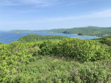 Rusya, Vladivostok. Adanın en yüksek noktasından ufukta Shkot ve Russkiy adasının görünümü