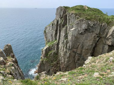 Rusya, Vladivostok.Güneşli yaz gününde Shkot Güzel ada