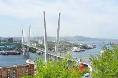 Mayıs ayında Vladivostok Zolotoy Rog (Haliç) Körfezi ve Churkin Burnu üzerinde kablo-kaldı köprü, Rusya