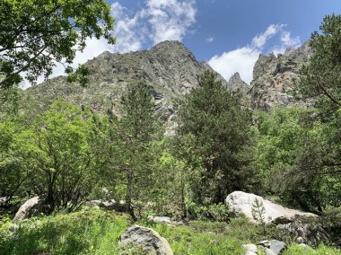 Rusya, Kuzey Osetya. Güneşli Haziran gününde Tsey geçit
