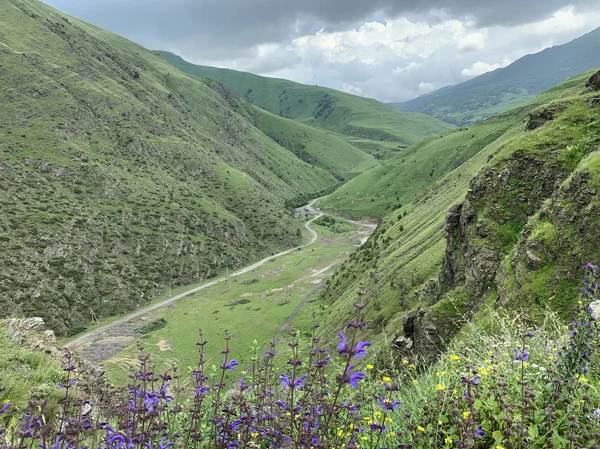 Russland Nordossetien Fiagdon Kurtatinsky Schlucht Bei Trübem Wetter Sommer — Stockfoto