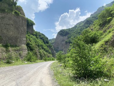  Karmadon (Geldeston) yaz aylarında geçit. Kuzey Osetya Cumhuriyeti - Alania. Rusya