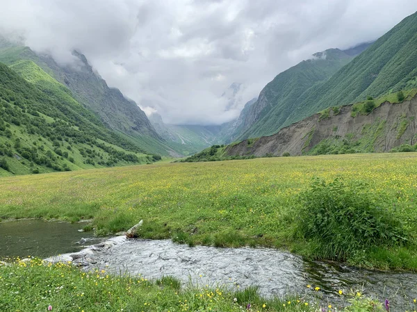 Russie Ossétie Nord Rivière Midagrabindon Soirée Été Par Temps Nuageux — Photo