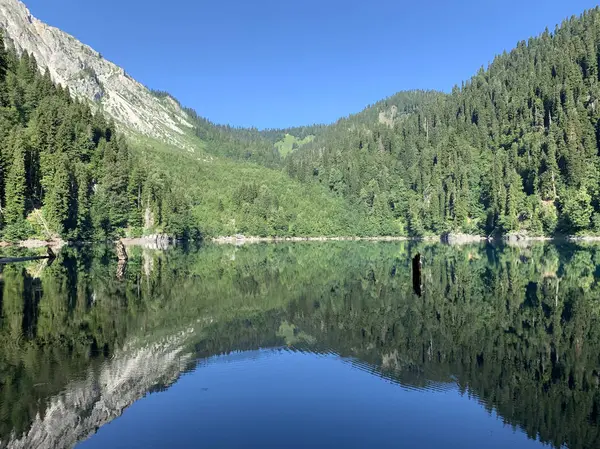 Lago Malaya Ritsa Verão Dia Ensolarado Verão Abcásia — Fotografia de Stock