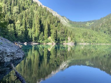 Yaz aylarında güneşli havalarda Malaya Ritsa Gölü, Abhazya