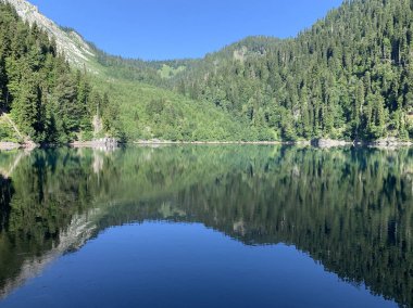 Yaz aylarında güneşli havalarda Malaya Ritsa Gölü, Abhazya