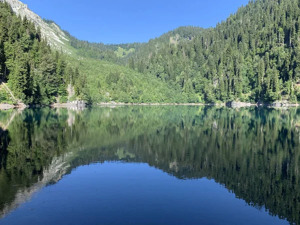 Lago Malaya Ritsa Verano Tiempo Soleado Abjasia — Foto de Stock