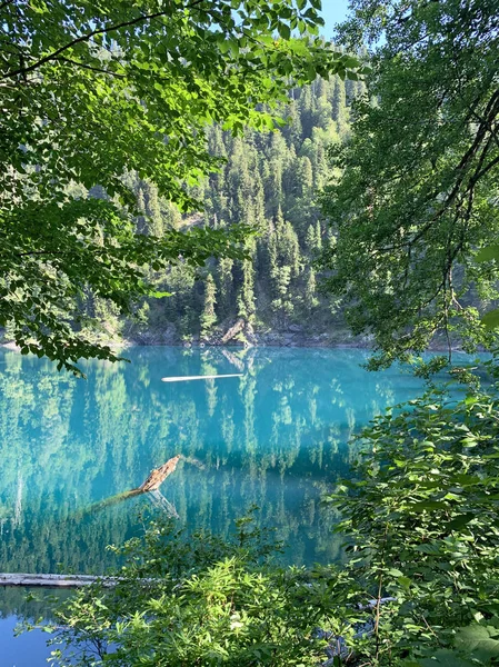 Lago Malaya Ritsa Estate Abkhazia — Foto Stock