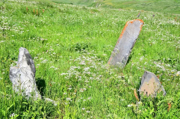 Khozitykau Rosja Północna Ossetia Czerwiec 2019 Stary Opuszczony Cmentarz Górnym — Zdjęcie stockowe