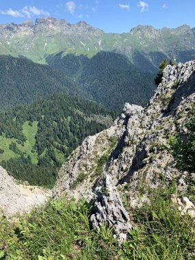Abhazya. Dağın yamacıPshegishkhva yaz