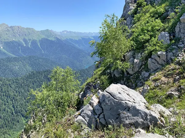 Абхазия Склон Горы Пшегишхва Летом — стоковое фото