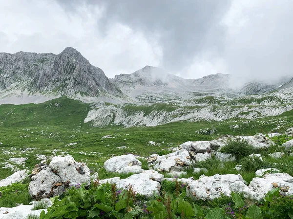 Abkhazia Altopiano Arabica Estate Con Tempo Piovoso — Foto Stock