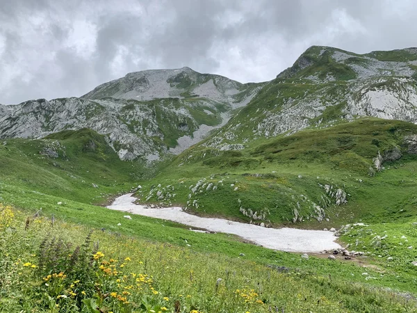 Abkhazia Altopiano Arabica Estate Con Tempo Piovoso — Foto Stock