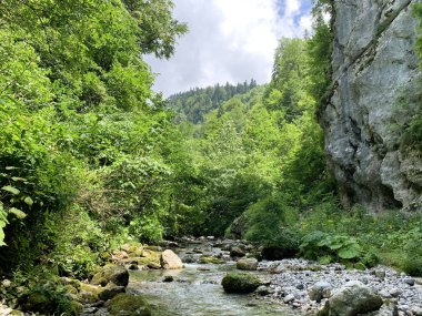 Abhazya, bulutlu bir günde yaz aylarında boğaz Tsandripsh dağ nehri