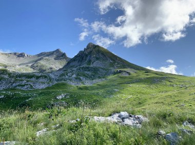 Abhazya, yaz aylarında Arabica platosu