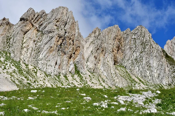 Abcházie Skály Planině Arabika Arabica — Stock fotografie