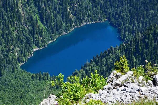 Jezioro Malaya Ritsa Lecie Wysokiego Punktu Abchazja — Zdjęcie stockowe