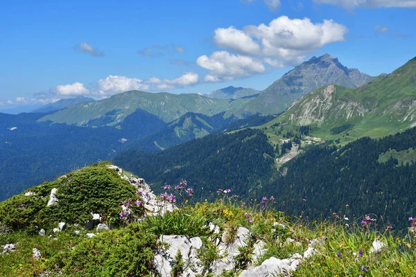 Abchasien Sommerliche Berglandschaft Ein Blick Auf Die Berge Pshegishkhva — Stockfoto