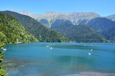 Güneşli bir günde yaz aylarında Ritsa Gölü, Abhazya