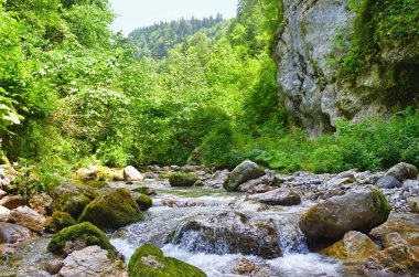 Abhazya, bulutlu bir günde yaz aylarında boğaz Tsandripsh dağ nehri