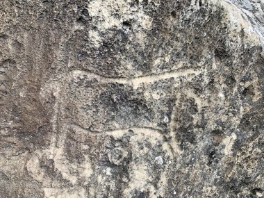 Gobustan, Azerbaycan, 11 Eylül 2019. Gobustan, Azerbaycan 'daki antik petroglifler