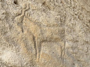 Gobustan, Azerbaycan, 11 Eylül 2019. Gobustan, Azerbaycan 'daki antik petroglifler