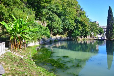Yeni Athos, Abhazya. Yazın birçok gölet biri