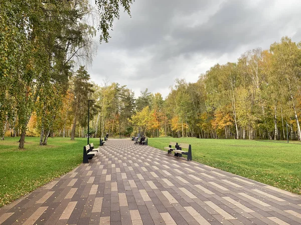 Moskova bölgesi, Balashikha. Pekhorka Parkı sonbaharda