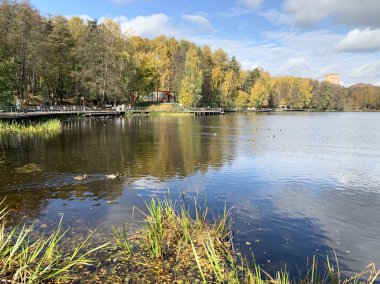 Moskova bölgesi, Balashikha. Pekhorka nehri güneşli bir sonbahar gününde