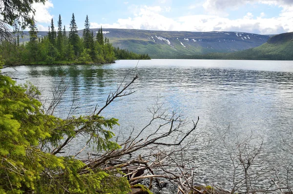 Russia Kola Peninsula Seydozero Lake Summer — Stock Photo, Image