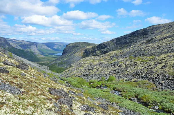 Lovozero Tundras Schiereiland Kola Regio Moermansk Rusland — Stockfoto