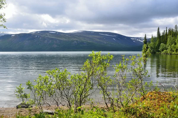 Rusland Kola Schiereiland Seydozero Meer Zomer — Stockfoto