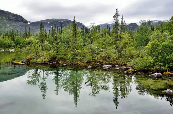 Rusko Poloostrov Kola Jezero Seydozero Létě — Stock fotografie