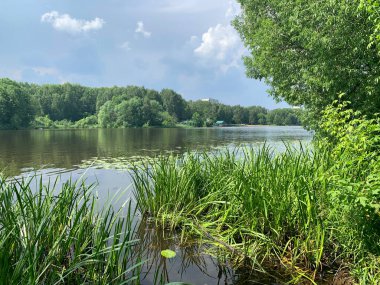 Moskova bölgesi, Balashikha şehri. Yaz günü Pekhorka nehrinin kıyısında, Zarechnaya Park Bölgesi