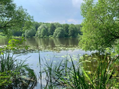 Moskova bölgesi, Balashikha şehri. Yaz günü Pekhorka nehrinin kıyısında, Zarechnaya Park Bölgesi