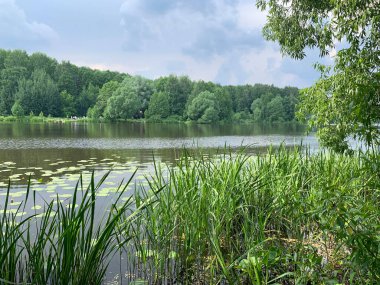 Moskova bölgesi, Balashikha şehri. Yaz günü Pekhorka nehrinin kıyısında, Zarechnaya Park Bölgesi