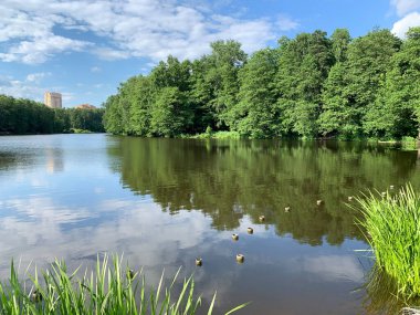 Pekhorka nehri, Pekhorka Parkı 'ndaki toprak setin yanında bulutlu bir yaz günü. Rusya, Moskova bölgesi, Balashikha şehri