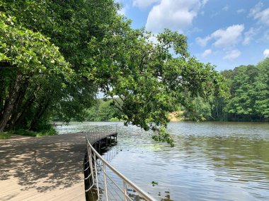 Güneşli yaz gününde Pekhorka nehrinin seti. Moskova bölgesi, Balashikha şehri.