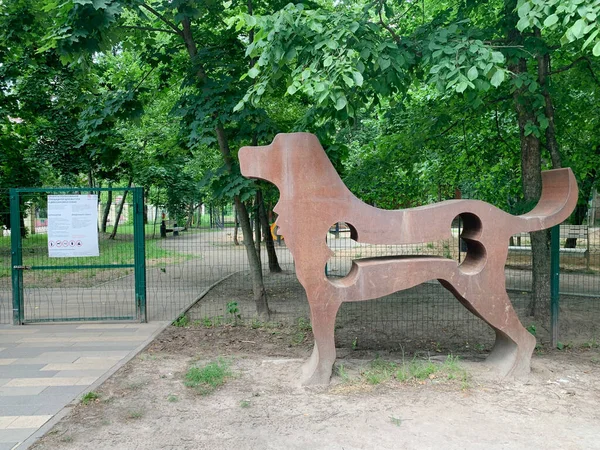 Balashikha Região Moscou Rússia Junho 2020 Parque Infantil Para Cães — Fotografia de Stock