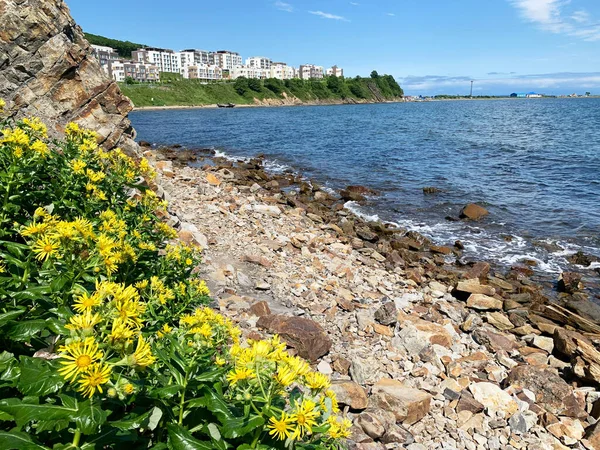 Rusia Vladivostok Patrokles Patrokl Bahía Ussuri Bahía Del Mar Japón — Foto de Stock