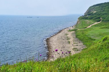 Rusya, Vladivostok, Akhlestyshev Körfezi Rusya 'da yaz günü