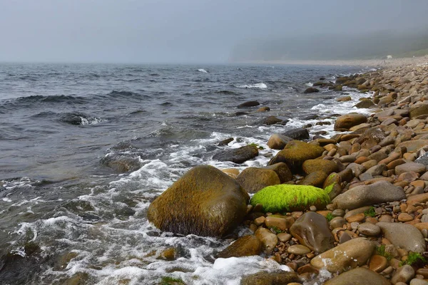 ロシア ウラジオストク 夏の雨の日にロシアの島のAkhlestyshev湾 — ストック写真