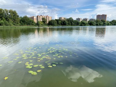 - Rusya. Yazın Pekhorka nehri. Moskova bölgesi, Balashikha şehri.