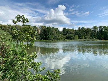 - Rusya. Yazın Pekhorka nehri. Moskova bölgesi, Balashikha şehri.