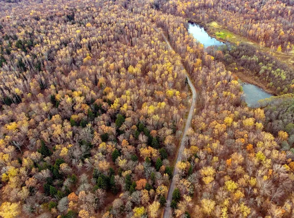 autumn forest, road, ponds, top view