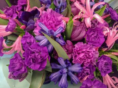 Eflatun çiçekler Buket. arka plan