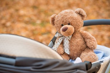 Sonbaharda bir bebek arabası içinde yumuşak oyuncak ayı. Sıcak renklerde manzara