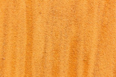 gevşek kum. Plaj, ıslak, kum yakın çekim. Kumda boşanmalar.