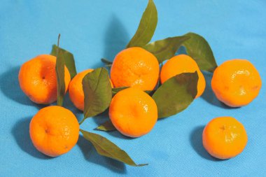 Mandalina yaprakları mavi, mavi, arka plan ile. Turuncu ve mavi